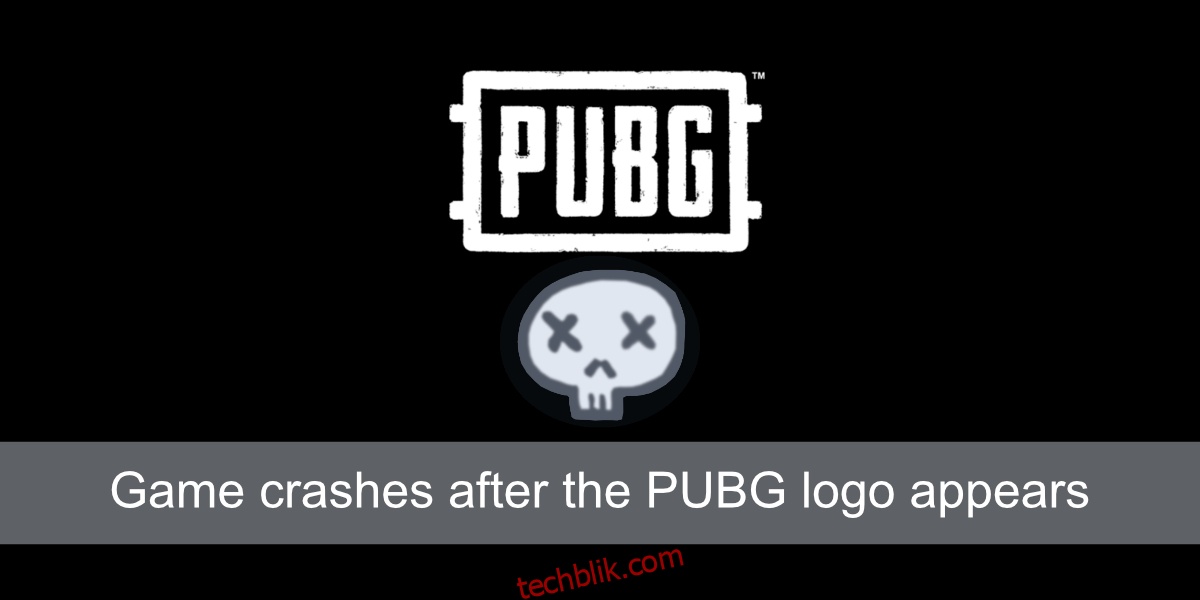 PUBG标志出现后如何修复游戏崩溃