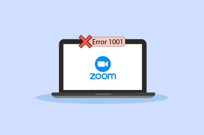 如何在 Windows 10 上修复缩放错误代码 1001