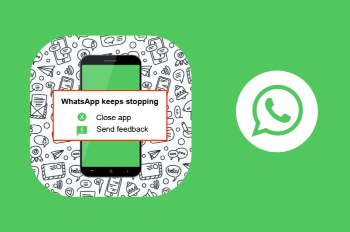 修复 WhatsApp 在 Android 上不断崩溃