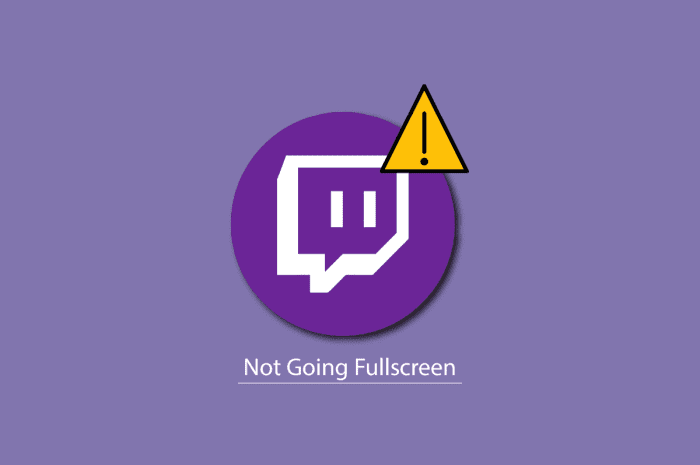 修复 Twitch 在 Windows 10 中无法全屏显示