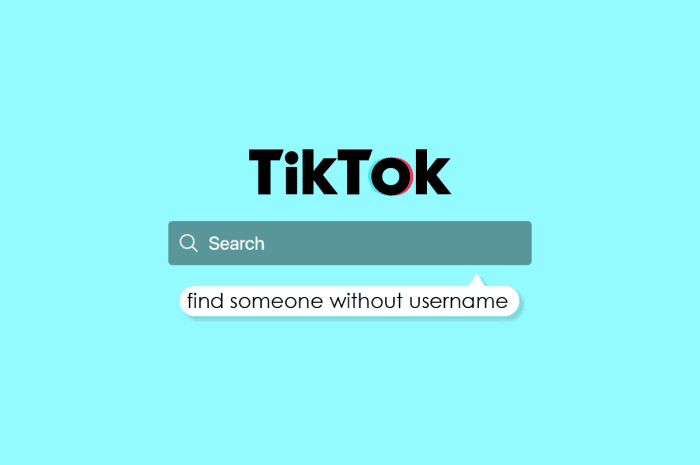 如何在没有用户名的情况下在 TikTok 上查找某人