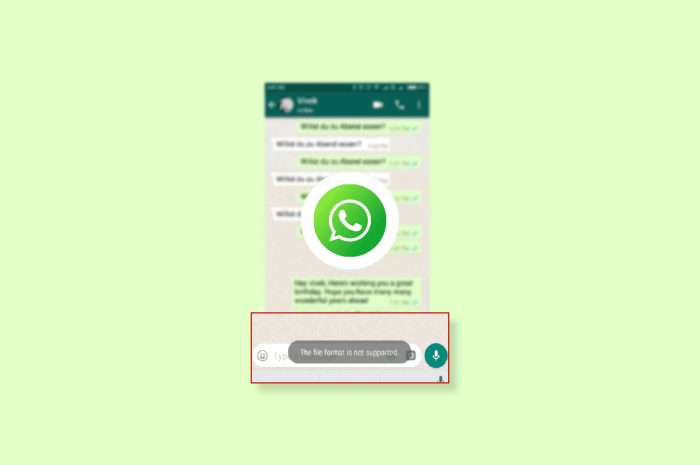 修复 Android 不支持的 WhatsApp 文件格式