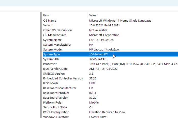 如何在您的 PC 上安装 Windows 11 Lite 版本 (Tiny11)