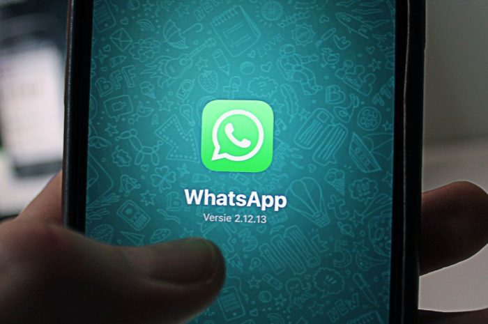 如何在 WhatsApp 上下载和发送新贴纸