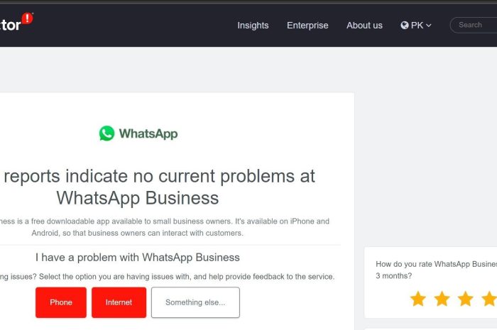 WhatsApp 不显示联系人姓名？ 如何修复它
